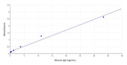 Buccutite™ Streptavidin Antibody Conjugation Kit *Optimized for Labeling 1 mg Protein* - AAT Bioquest