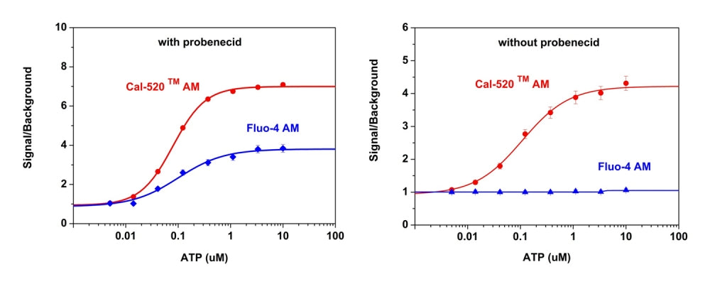 Cal-520®, AM - AAT Bioquest