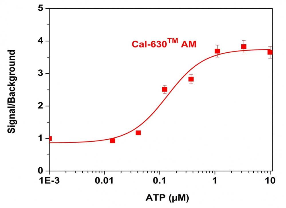 Cal-630™ AM - AAT Bioquest
