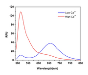 Cal Red™ R525/650 potassium salt - AAT Bioquest