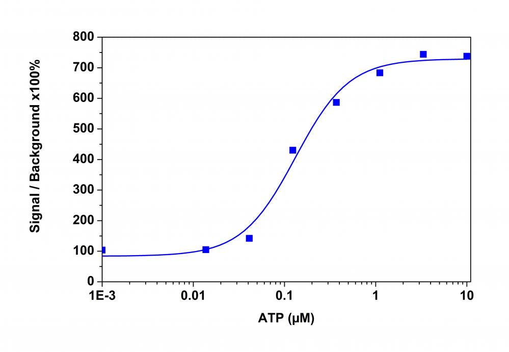Calbryte™ 590 AM - AAT Bioquest