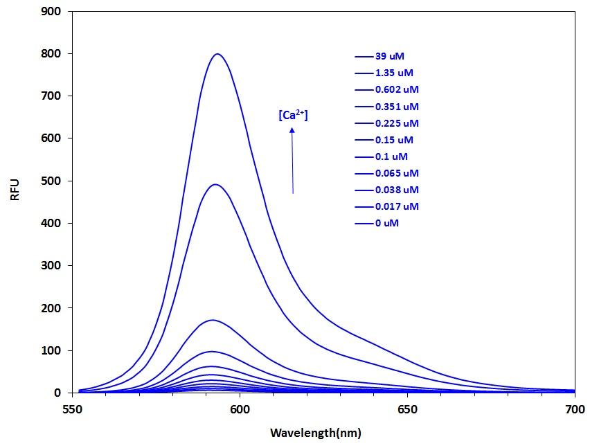 Calbryte™ 590, potassium salt - AAT Bioquest