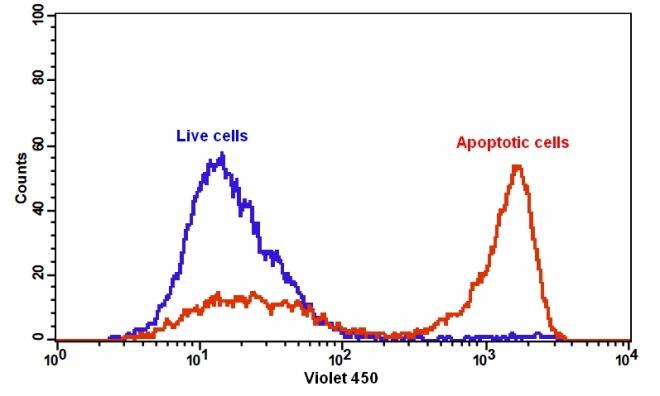 Cell Meter™ Annexin V Binding Apoptosis Assay Kit *Blue Fluorescence Excited at 405 nm* - AAT Bioquest