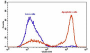Cell Meter™ Annexin V Binding Apoptosis Assay Kit *Green Fluorescence Excited at 405 nm* - AAT Bioquest