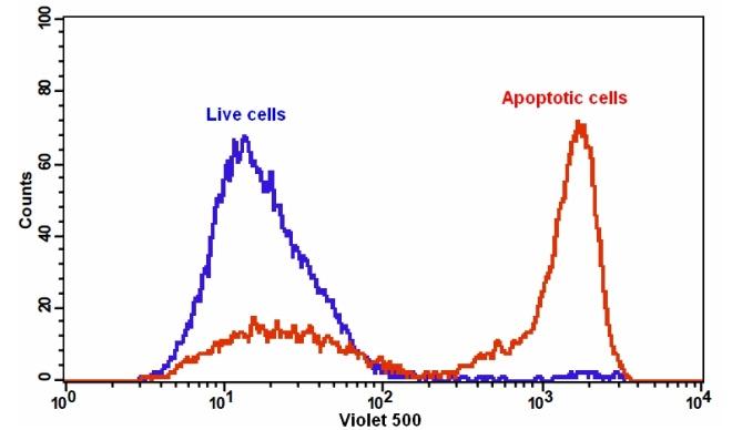 Cell Meter™ Annexin V Binding Apoptosis Assay Kit *Green Fluorescence Excited at 405 nm* - AAT Bioquest