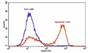 Cell Meter™ Annexin V Binding Apoptosis Assay Kit *Orange Fluorescence Excited at 405 nm* - AAT Bioquest