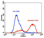 Cell Meter™ APC-Annexin V Binding Apoptosis Assay Kit *Optimized for Flow Cytometry* - AAT Bioquest