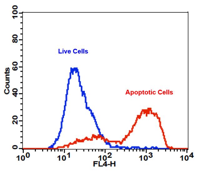 Cell Meter™ APC-Annexin V Binding Apoptosis Assay Kit *Optimized for Flow Cytometry* - AAT Bioquest