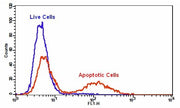 Cell Meter™ Caspase 3/7 Activity Apoptosis Assay Kit *Green Fluorescence Optimized for Flow Cytometry* - AAT Bioquest