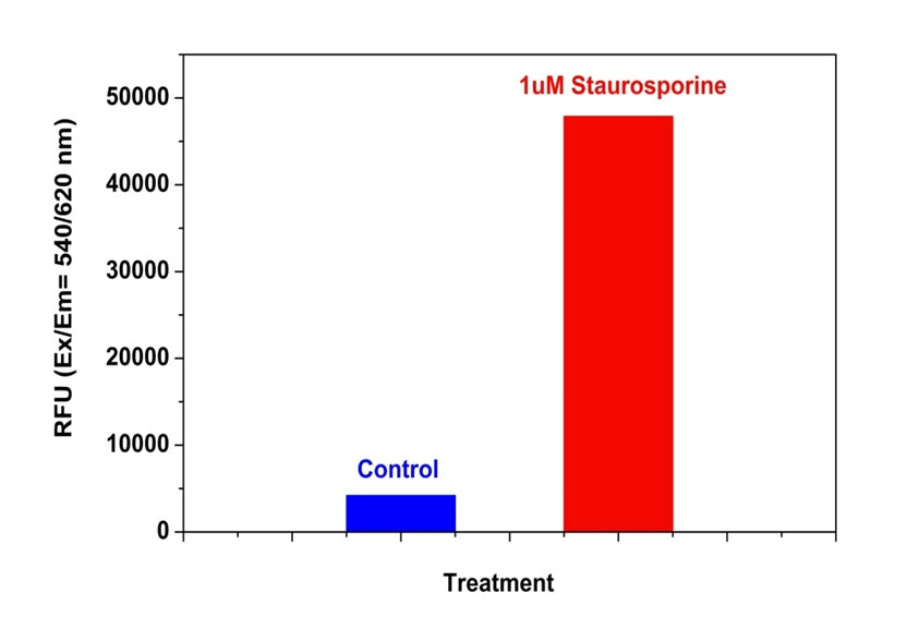 Cell Meter™ Caspase 3/7 Activity Apoptosis Assay Kit *Red Fluorescence* - AAT Bioquest