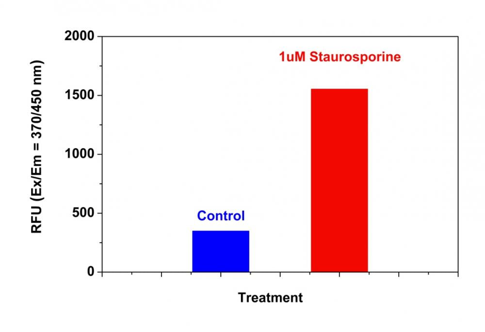 Cell Meter™ Caspase 8 Activity Apoptosis Assay Kit *Blue Fluorescence* - AAT Bioquest