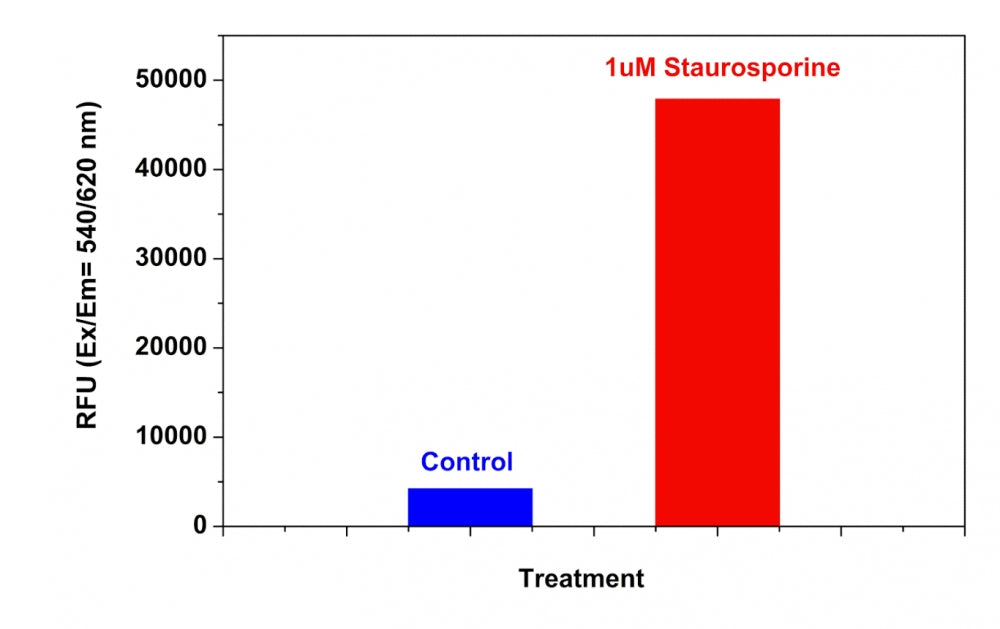 Cell Meter™ Caspase 8 Activity Apoptosis Assay Kit *Red Fluorescence* - AAT Bioquest