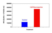 Cell Meter™ Caspase 9 Activity Apoptosis Assay Kit *Blue Fluorescence* - AAT Bioquest