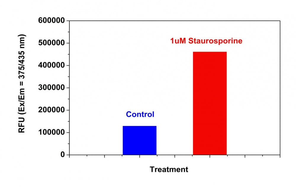 Cell Meter™ Caspase 9 Activity Apoptosis Assay Kit *Blue Fluorescence* - AAT Bioquest