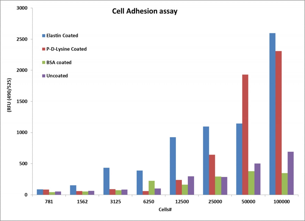 Cell Meter™ Cell Adhesion Assay Kit - AAT Bioquest