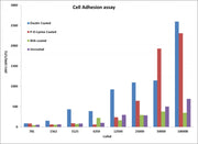 Cell Meter™ Cell Adhesion Assay Kit - AAT Bioquest