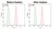 Cell Meter™ Cellular Senescence Activity Assay Kit *Red Fluorescence* - AAT Bioquest