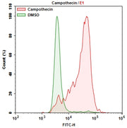 Cell Meter™ Cellular Senescence Activity Assay Kit *Green Fluorescence* - AAT Bioquest