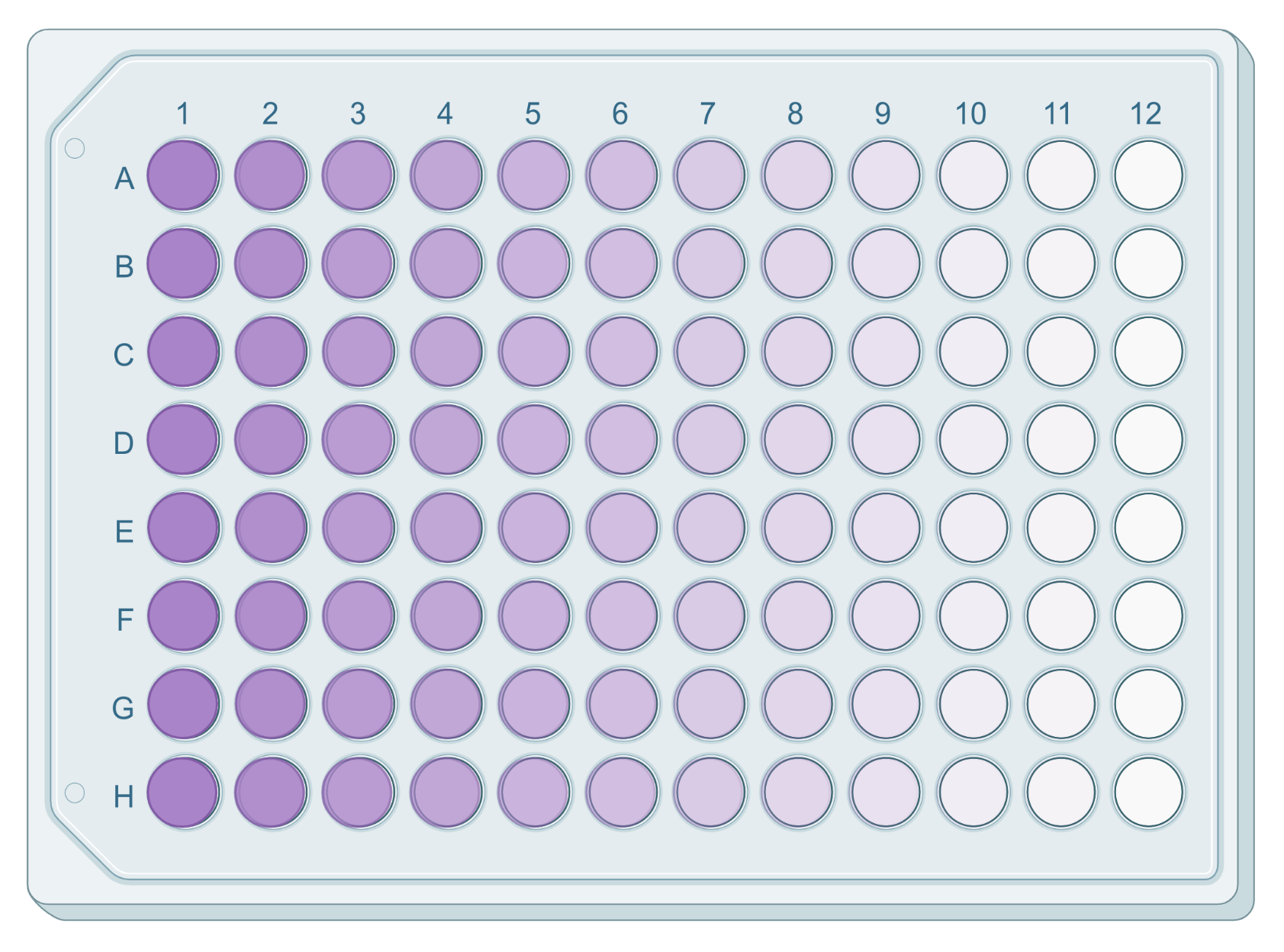 Cell Meter™ Colorimetric MTT Cell Proliferation Kit - AAT Bioquest