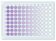Cell Meter™ Colorimetric MTT Cell Proliferation Kit - AAT Bioquest