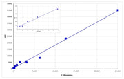 Cell Meter™ Direct Cell Proliferation Assay Kit - AAT Bioquest