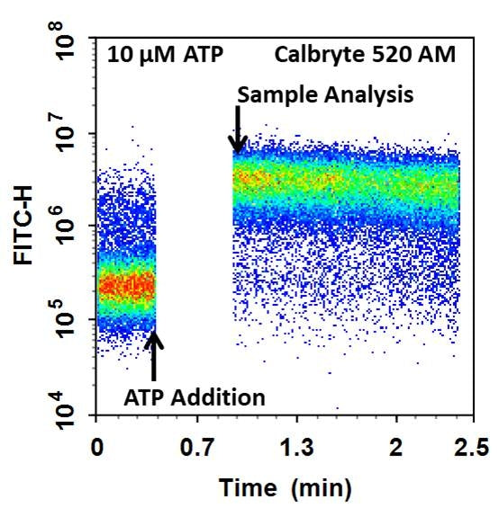 Cell Meter™ Flow Cytometric Calcium Assay Kit - AAT Bioquest
