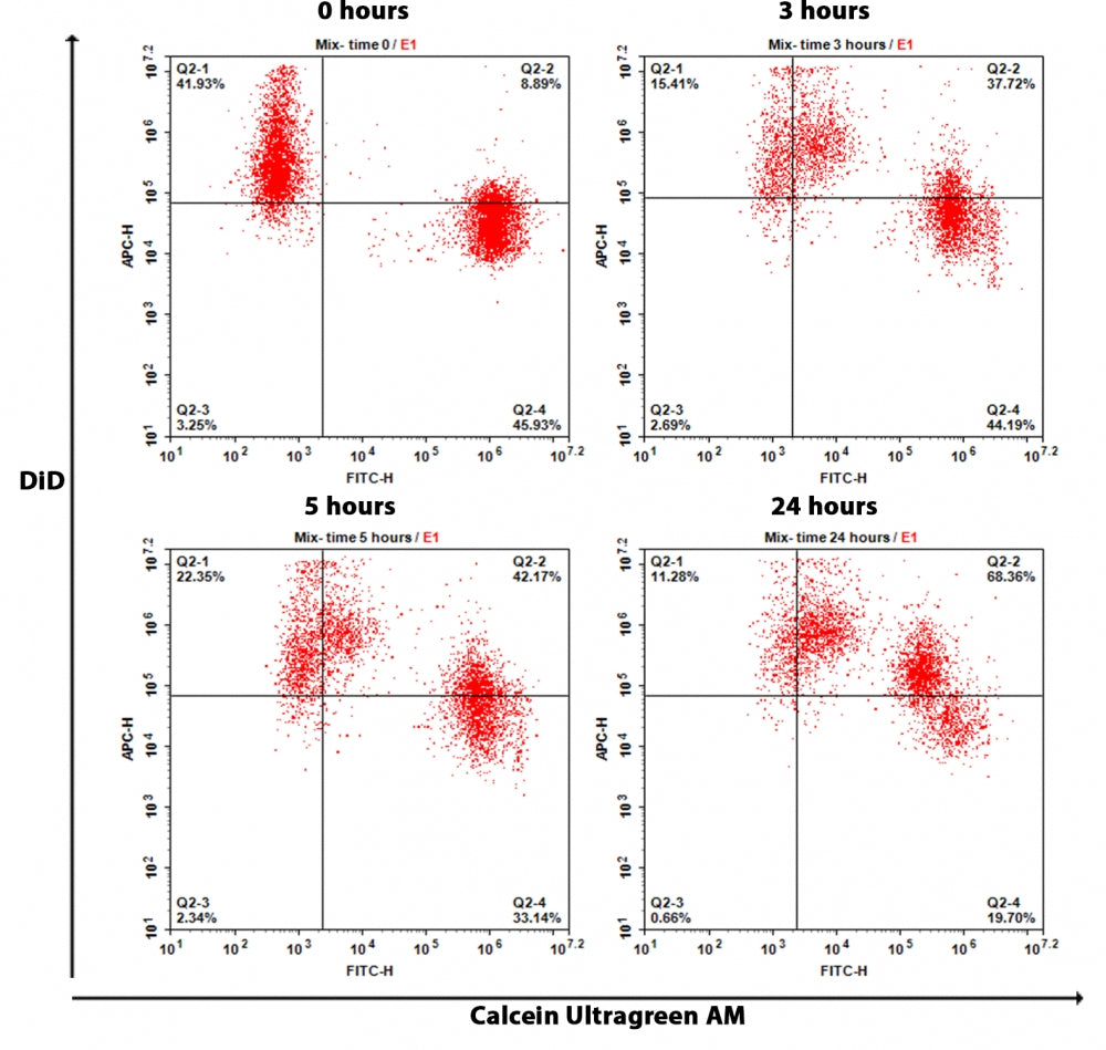 Cell Meter™ Fluorescence Gap Junction Tracing Kit - AAT Bioquest