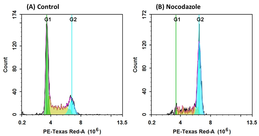 Cell Meter™ Fluorimetric Fixed Cell Cycle Assay Kit *Red Fluorescence Optimized for Flow Cytometry* - AAT Bioquest