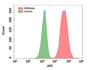 Cell Meter™ Fluorimetric Intracellular Nitric Oxide (NO) Activity Assay Kit *NIR Fluorescence Optimized for Flow Cytometry* - AAT Bioquest