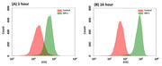 Cell Meter™ Fluorimetric Intracellular Peroxynitrite Assay Kit *Optimized for Flow Cytometry* - AAT Bioquest