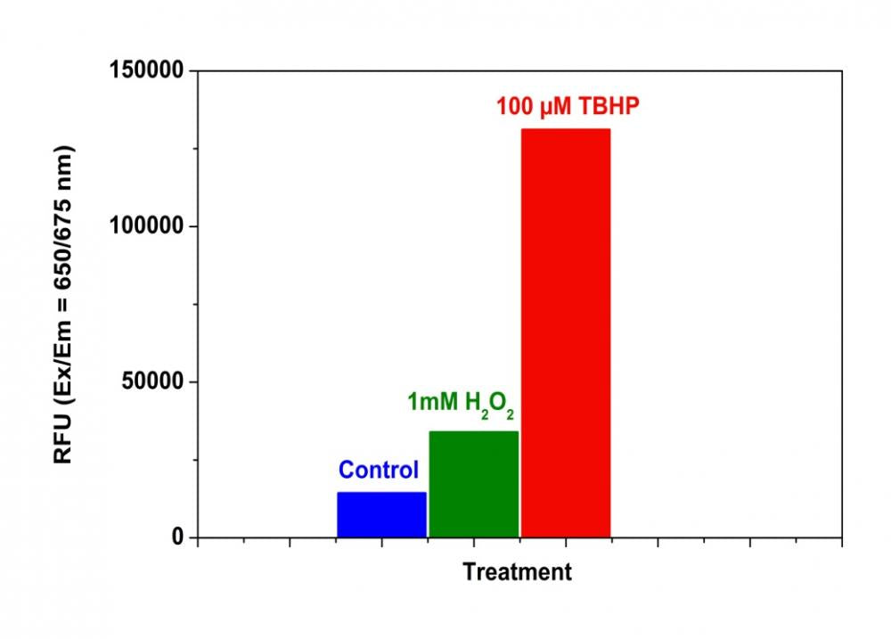 Cell Meter™ Fluorimetric Intracellular Total ROS Activity Assay Kit*Deep Red Fluorescence* - AAT Bioquest