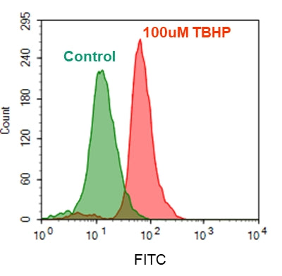 Cell Meter™ Fluorimetric Intracellular Total ROS Activity Assay Kit*Optimized for Flow Cytometry* - AAT Bioquest