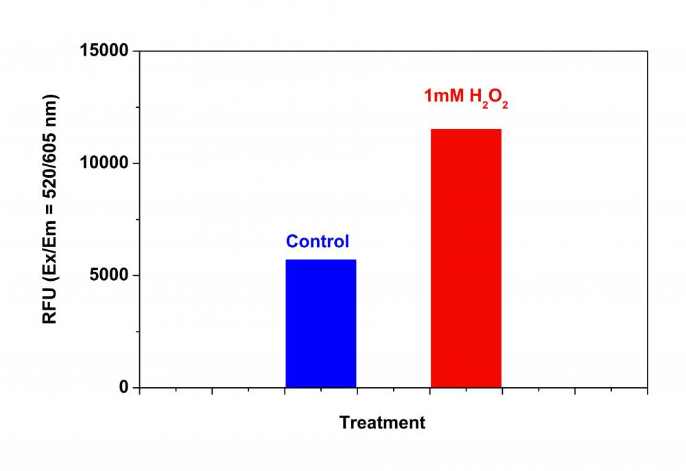 Cell Meter™ Fluorimetric Intracellular Total ROS Activity Assay Kit*Red Fluorescence* - AAT Bioquest