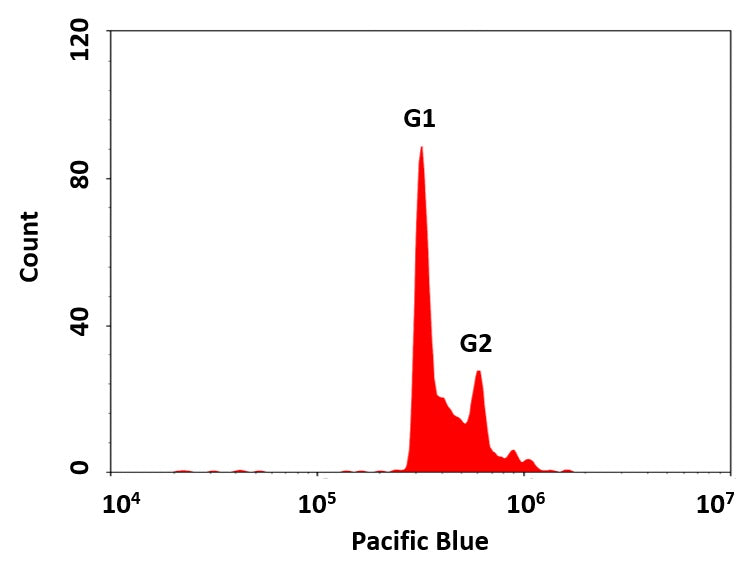 Cell Meter™ Fluorimetric Live Cell Cycle Assay Kit *Optimized for 405 nm Violet Laser Excitation* - AAT Bioquest