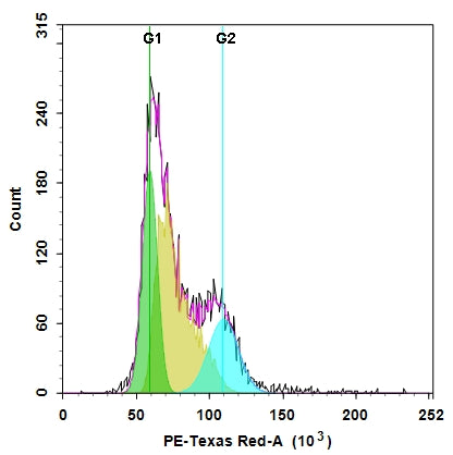 Cell Meter™ Fluorimetric Live Cell Cycle Assay Kit *Red Fluorescence Optimized for Flow Cytometry* - AAT Bioquest
