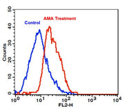 Cell Meter™ Fluorimetric Mitochondrial Superoxide Activity Assay Kit*Optimized for Flow Cytometry* - AAT Bioquest