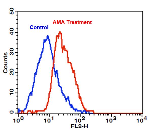 Cell Meter™ Fluorimetric Mitochondrial Superoxide Activity Assay Kit*Optimized for Flow Cytometry* - AAT Bioquest