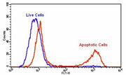 Cell Meter™ Generic Fluorimetric Caspase Activity Assay Kit *Green Fluorescence Optimized for Flow Cytometry* - AAT Bioquest