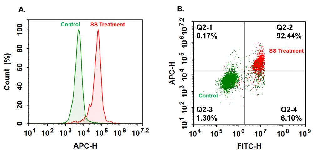 Cell Meter™ Generic Fluorimetric Caspase Binding Assay Kit *Red Fluorescence Optimized for Flow Cytometry* - AAT Bioquest