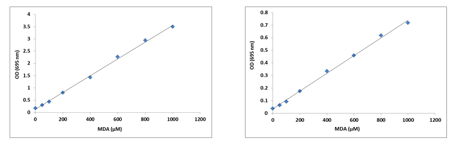 Cell Meter™ Intracellular Colorimetric Lipid Peroxidation (MDA) Assay Kit - AAT Bioquest