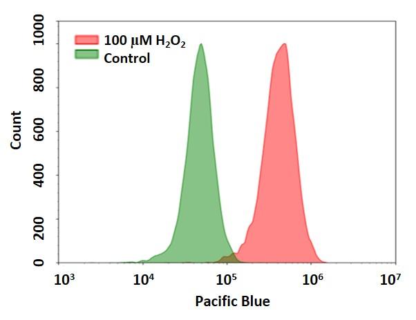Cell Meter™ Intracellular Fluorimetric Hydrogen Peroxide Assay Kit *Blue Fluorescence Optimized for Flow Cytometry* - AAT Bioquest