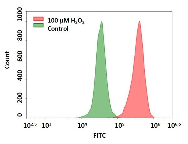 Cell Meter™ Intracellular Fluorimetric Hydrogen Peroxide Assay Kit *Green Fluorescence Optimized for Flow Cytometry* - AAT Bioquest