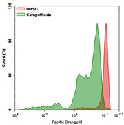 Cell Meter™ Intracellular GSH Assay Kit *Optimized for Flow Cytometry with 405 nm excitation* - AAT Bioquest