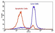 Cell Meter™ Intracellular GSH Assay Kit *Optimized for Flow Cytometry* - AAT Bioquest