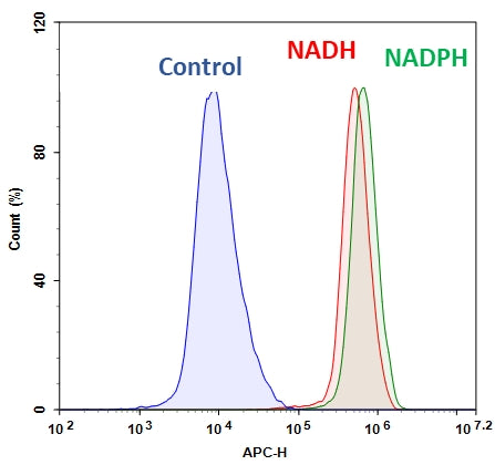 Cell Meter™ Intracellular NADH/NADPH Flow Cytometric Analysis Kit *Deep Red Fluorescence* - AAT Bioquest