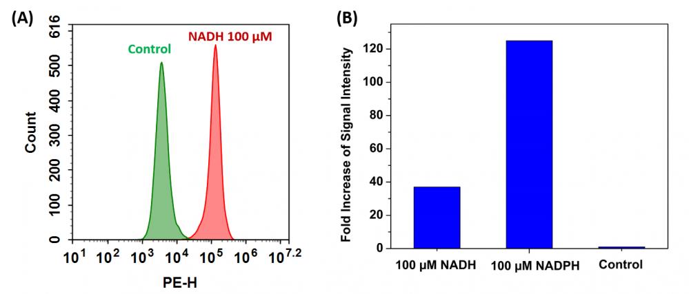 Cell Meter™ Intracellular NADH/NADPH Flow Cytometric Analysis Kit *Red Fluorescence* - AAT Bioquest