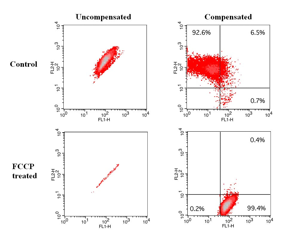 Cell Meter™ JC-10 Mitochondrion Membrane Potential Assay Kit *Optimized for Flow Cytometry Assays* - AAT Bioquest