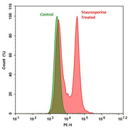Cell Meter™ Live Cell Caspase 3/7 Binding Assay Kit *Red Fluorescence* - AAT Bioquest