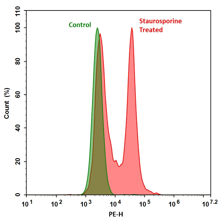 Cell Meter™ Live Cell Caspase 3/7 Binding Assay Kit *Red Fluorescence* - AAT Bioquest