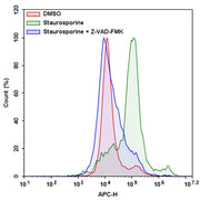 Cell Meter™ Live Cell Caspase 8 Binding Assay Kit *Red Fluorescence* - AAT Bioquest